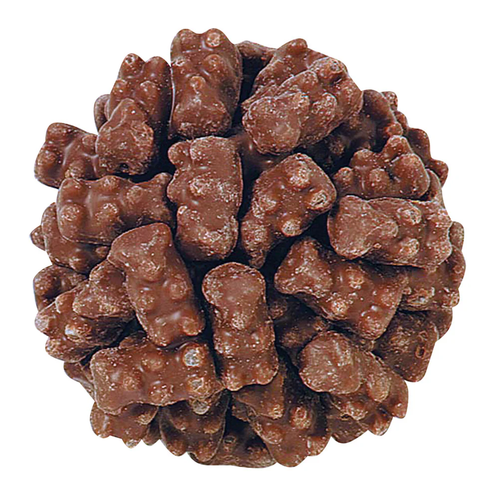Chocolate Gummi Bears - 8lb Tub - Image 5